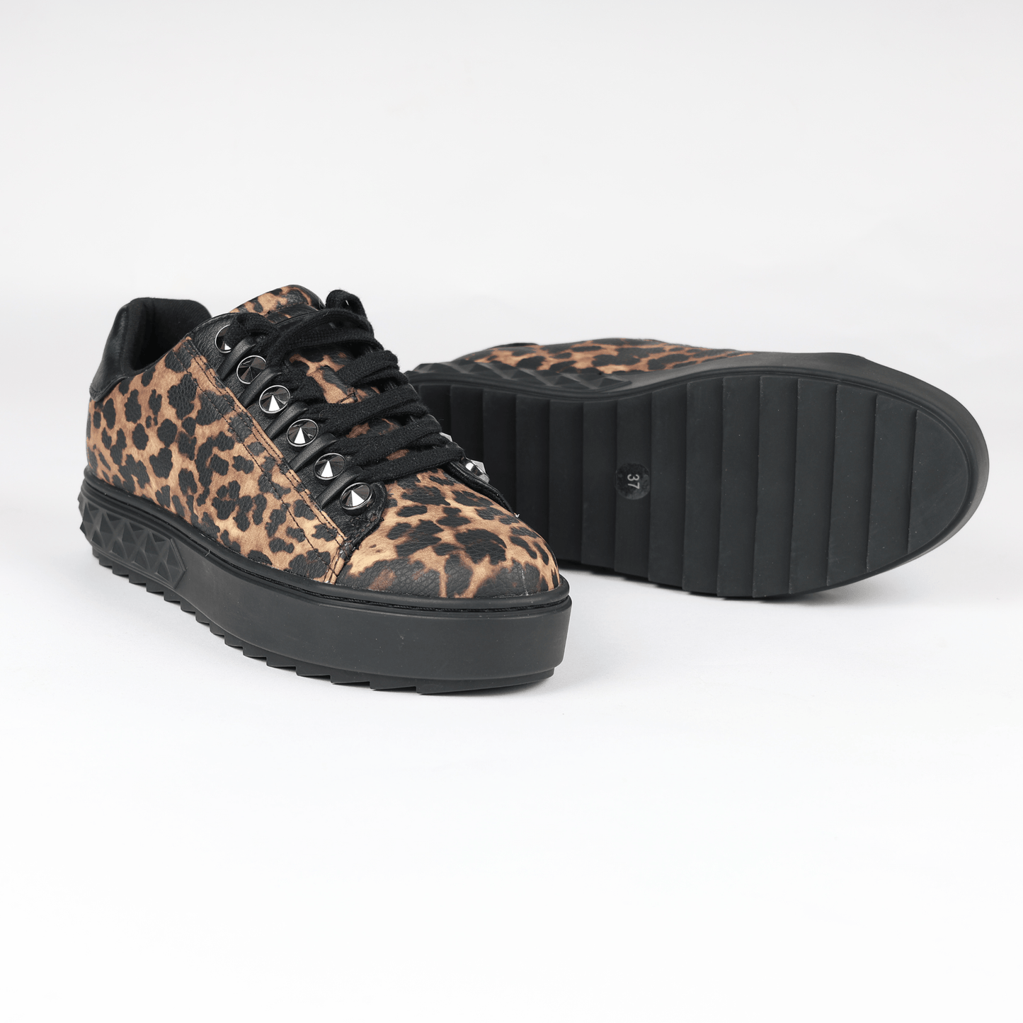 5666307816ae103e9e53cdc898738070