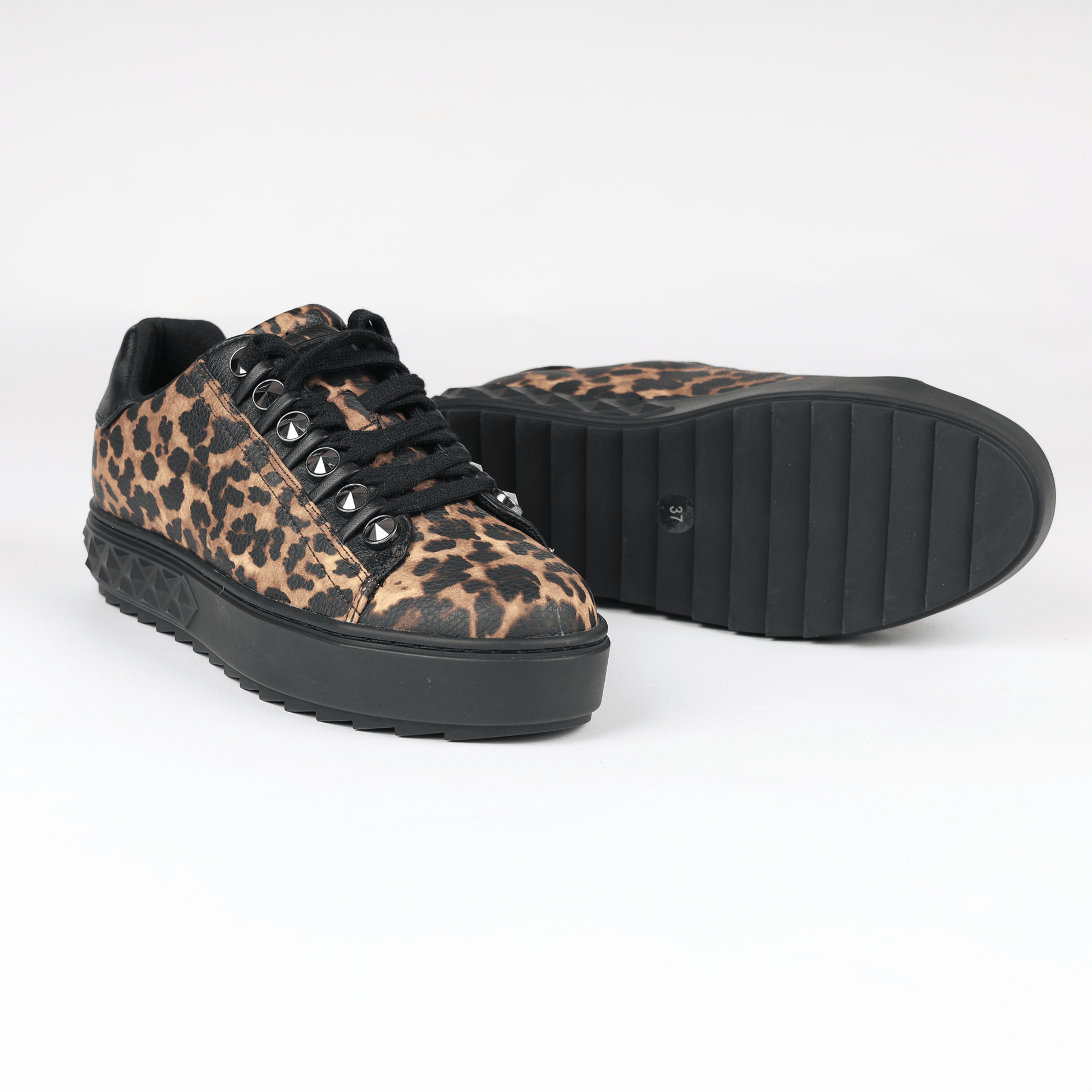 5666307816ae103e9e53cdc898738070